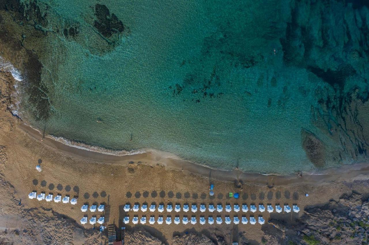 Regina Gardens Lovely Apartment Paphos 外观 照片